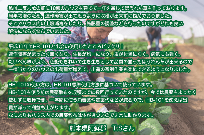 ホウレンソウ農家さんの声